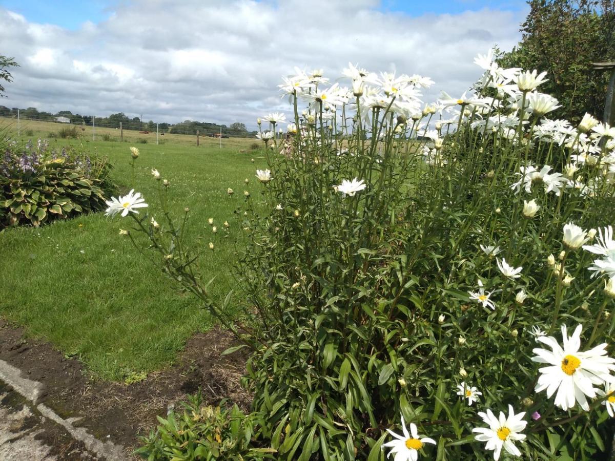 The Crossings Bed and Breakfast Carlisle  Esterno foto